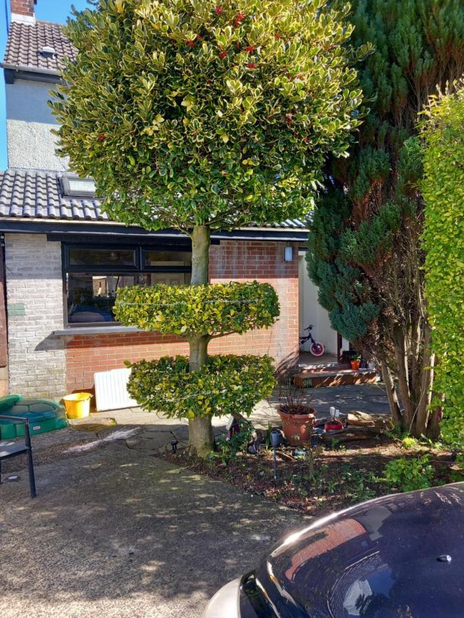 3 Bedroom Family Home Limavady Extérieur photo